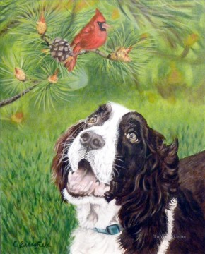 parrot and dog birds Oil Paintings